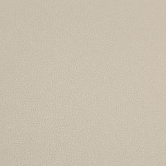 Kravet Contract Syrus Vapor 1116 Indoor Upholstery Fabric