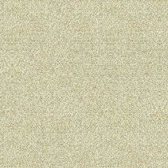 Kravet Salt Flats Oyster 33488-16 by Michael Berman Indoor Upholstery Fabric