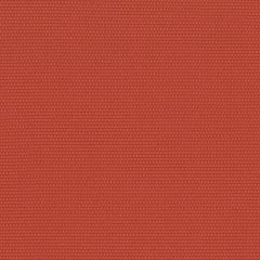 Perennials Nailhead Red Coral 620-166 Camp Wannagetaway Collection Upholstery Fabric