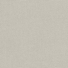 Perennials Nailhead White Sands 620-270 Camp Wannagetaway Collection Upholstery Fabric