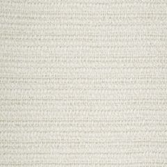 Beacon Hill Hunter Weave Eggshell 243894 Plush Chenille Solids Collection Indoor Upholstery Fabric