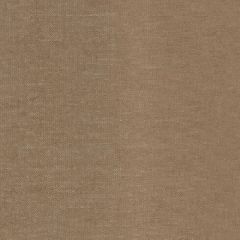 Robert Allen Chenille Luxe Chestnut Performance Chenille Collection Indoor Upholstery Fabric