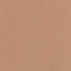 Tempotest Home Coffee 57/0 Solids Collection Upholstery Fabric