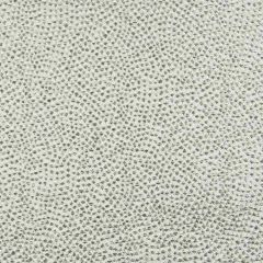 Stout Mobutu Pewter 5 Color My Window Collection Multipurpose Fabric