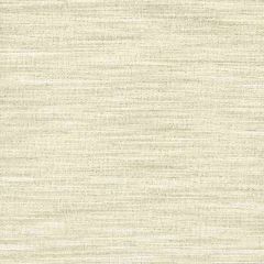 Stout Ivorycrest Chablis 10 Spree Drapery Textures Collection Drapery Fabric