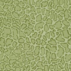 Duralee Apple Green DP42686-212 Pirouette All Purpose Collection Multipurpose Fabric