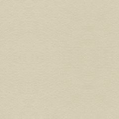 Kravet Ultrasuede Green Dove 30787-611 Indoor Upholstery Fabric