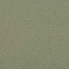 Baker Lifestyle Lansdowne Fern PF50413-775 Notebooks Collection Indoor Upholstery Fabric