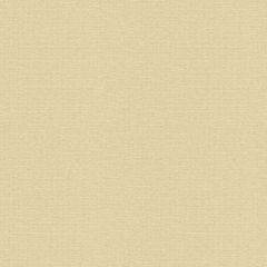 Kravet Contract Beige 4156-16 Wide Illusions Collection Drapery Fabric