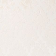 Beacon Hill Venetian Frame Ivory 510779 Bruges Velvets Collection Indoor Upholstery Fabric