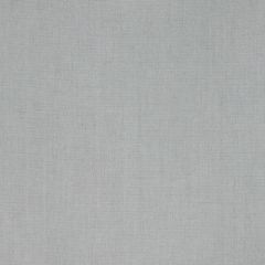 Premier Prints Dyed Light Gray Indoor-Outdoor Upholstery Fabric