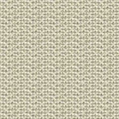 Kravet Couture Grey 33763-1611 Embellished Linen Collection Multipurpose Fabric