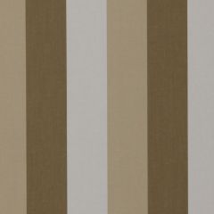 Beacon Hill Jasmine Stripe Linen 226065 Wide Stripes Collection Multipurpose Fabric