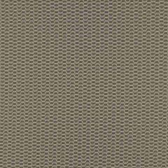 Robert Allen Dharmsen Graphite 262163 Modern Drama Collection By DwellStudio Indoor Upholstery Fabric