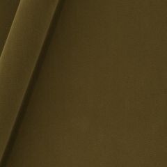 Robert Allen Forever Velvet Caramel 245471 Durable Velvets Collection Indoor Upholstery Fabric