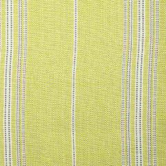 Bella Dura Ticking Keylime 29271B2-4 Upholstery Fabric