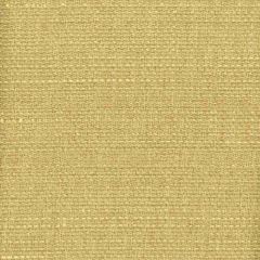 Stout Halogen Gold 5 Myth Drapery FR Textures Collection Drapery Fabric