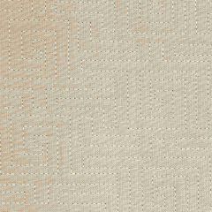 Robert Allen Swink Dove 220665 Multipurpose Fabric