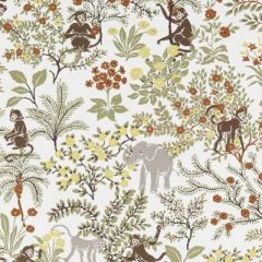 Duralee Niklas Multi 72090-215 Market Place Wovens and Prints Collection Multipurpose Fabric