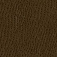 Nassimi Phoenix 102 Chestnut Faux Leather Upholstery Fabric