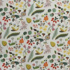 F Schumacher Botanica Multi 75940 Indoor / Outdoor Prints and Wovens Collection Upholstery Fabric