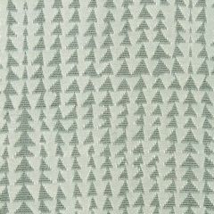 Robert Allen Folk Texture Bk Aloe 238131 Indoor Upholstery Fabric