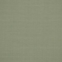 Robert Allen Zahara-Powder 193614 Decor Multi-Purpose Fabric