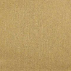 Kravet Design Pure LZ-30201-5 Lizzo Collection Indoor Upholstery Fabric