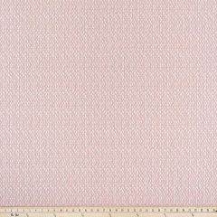 Premier Prints Riverbed Blush / Slub Canvas Shoreline Collection Multipurpose Fabric