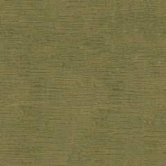 Lee Jofa Fulham Linen Velvet Cactus 2016133-1633 Indoor Upholstery Fabric