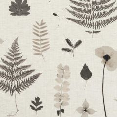 Clarke and Clarke Herbarium Charcoal / Natural F1089-02 Botanica Fabric Collection Multipurpose Fabric