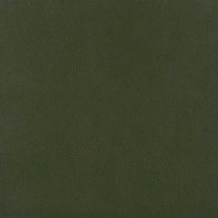 Duralee Fir 15523-370 Edgewater Faux Leather Collection Interior Upholstery Fabric