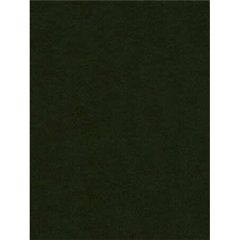 Kravet Design Green Novasuede 330 Indoor Upholstery Fabric