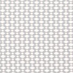 F Schumacher Betwixt Zinc/Blanc 65684 Chroma Collection Indoor Upholstery Fabric