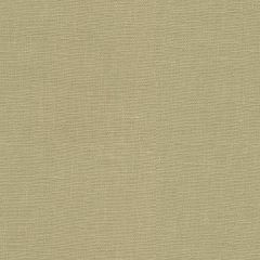 Kravet Dublin Linen 32344-1621 Multipurpose Fabric