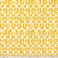 Premier Prints Celtic Pineapple / Luxe Polyester Indoor-Outdoor Upholstery Fabric