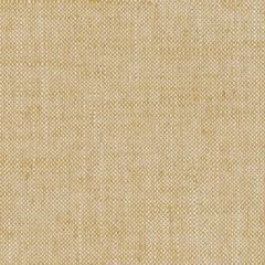 Duralee Ginger DW61848-185 Pirouette All Purpose Collection Multipurpose Fabric