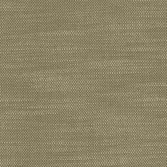 Perennials Ishi Fawn 950-245 Galbraith and Paul Collection Upholstery Fabric
