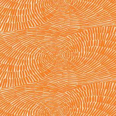 F Schumacher Sonriza Print Orange 174241 by Trina Turk Upholstery Fabric