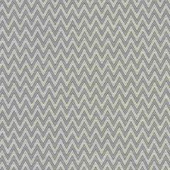 Clarke and Clarke Glacier Charcoal F1049-02 Patagonia Collection Multipurpose Fabric