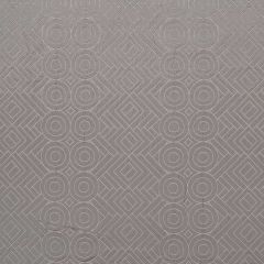 Beacon Hill Esperanto Silver 260032 Silk Jacquards and Embroideries Collection Multipurpose Fabric