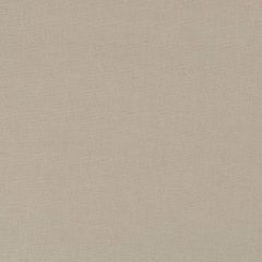 Robert Allen Durable Linen Flax 257411 Indoor Upholstery Fabric