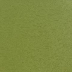 Kravet Design Green Gato 5353 Indoor Upholstery Fabric