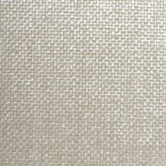 Winfield Thybony Paperweave WT WBG5137 Wall Covering