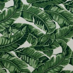 Sunbrella Tropics Jungle 145214-0000 Fusion Collection Upholstery Fabric