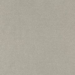 Kravet Contract Lenox Stonewall 11 Indoor Upholstery Fabric