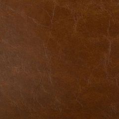 Kravet Design Brown Lipizzan 6 by Barclay Butera Indoor Upholstery Fabric