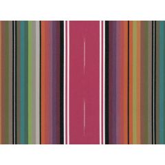 Perennials Tejas Stripe Hibiscus 460-334 Far West Collection Upholstery Fabric