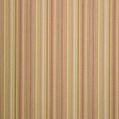Robert Allen Zigzag Stripe Coral Reef 241863 Botanical Color Collection Indoor Upholstery Fabric