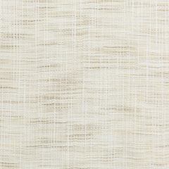 Kravet Basics  4666-1  Drapery Fabric